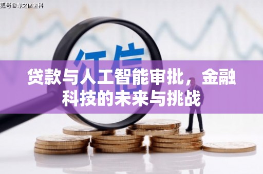 花莲贷款与人工智能审批，金融科技的未来与挑战