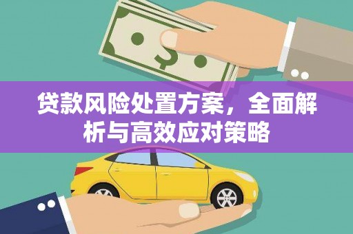 花莲贷款风险处置方案，全面解析与高效应对策略