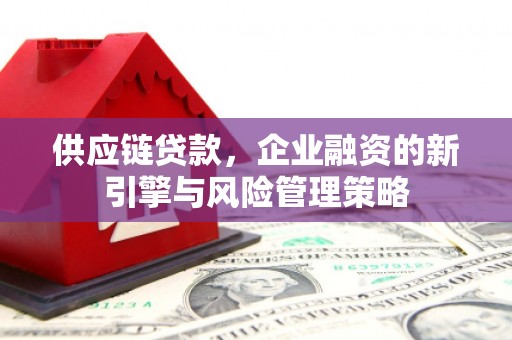 花莲供应链贷款，企业融资的新引擎与风险管理策略