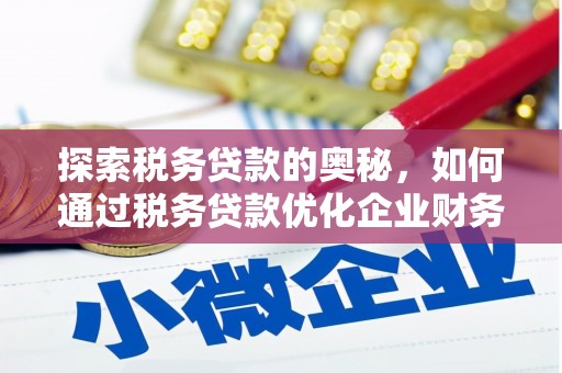 花莲探索税务贷款的奥秘，如何通过税务贷款优化企业财务
