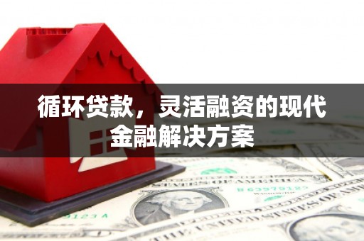 花莲循环贷款，灵活融资的现代金融解决方案