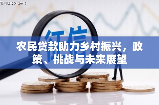 花莲农民贷款助力乡村振兴，政策、挑战与未来展望