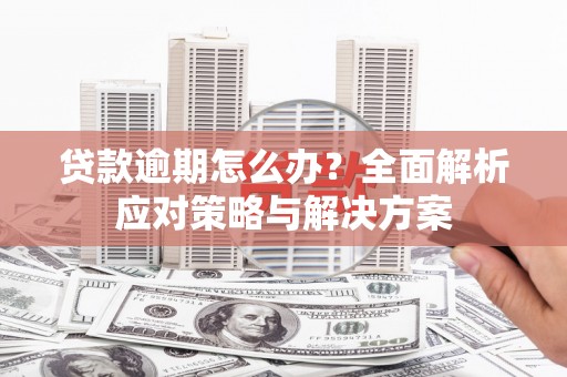 花莲贷款逾期怎么办？全面解析应对策略与解决方案