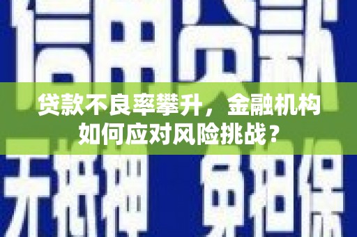 花莲贷款不良率攀升，金融机构如何应对风险挑战？