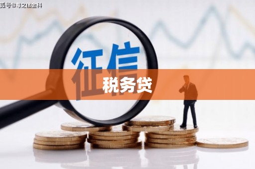 花莲税务贷