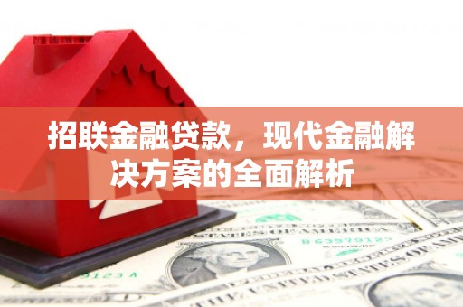 花莲招联金融贷款，现代金融解决方案的全面解析