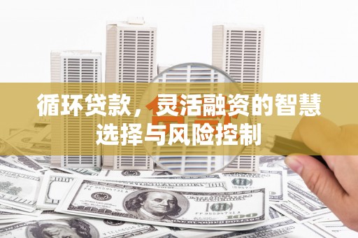 花莲循环贷款，灵活融资的智慧选择与风险控制