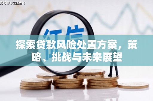 花莲探索贷款风险处置方案，策略、挑战与未来展望