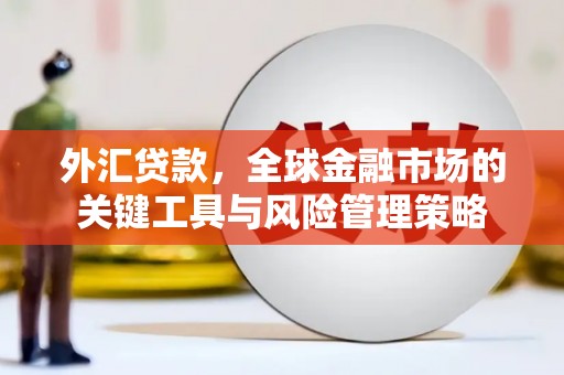 花莲外汇贷款，全球金融市场的关键工具与风险管理策略