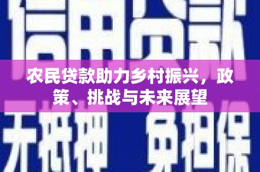 花莲农民贷款助力乡村振兴，政策、挑战与未来展望