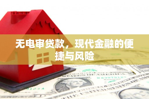 花莲无电审贷款，现代金融的便捷与风险