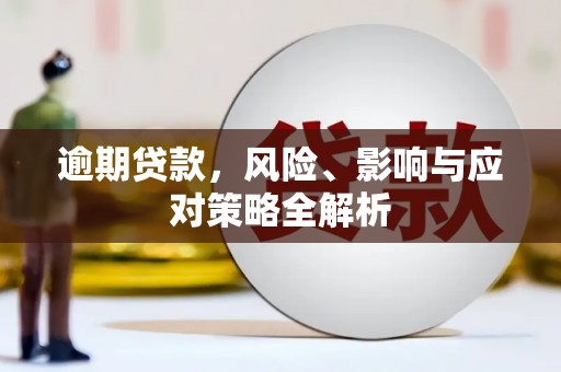 花莲逾期贷款，风险、影响与应对策略全解析