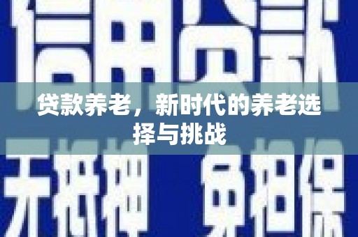 花莲贷款养老，新时代的养老选择与挑战