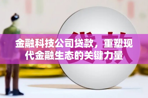 花莲金融科技公司贷款，重塑现代金融生态的关键力量