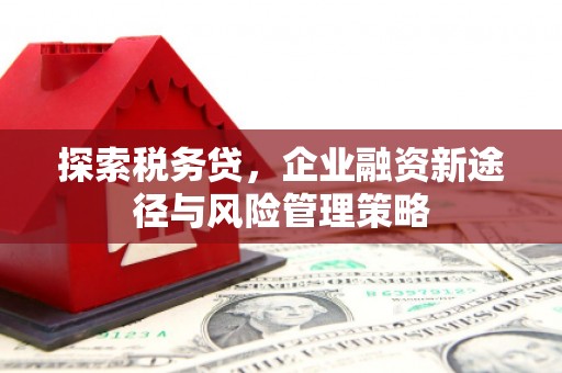 花莲探索税务贷，企业融资新途径与风险管理策略