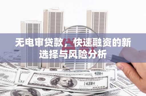花莲无电审贷款，快速融资的新选择与风险分析
