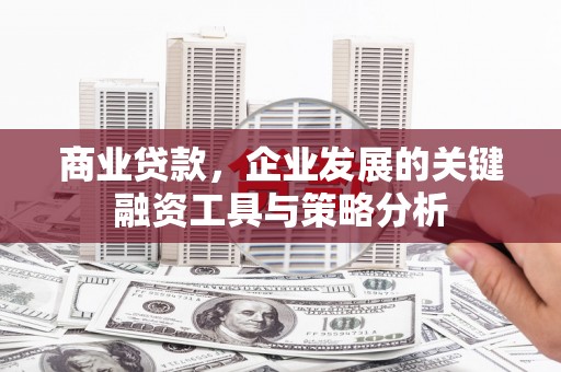 花莲商业贷款，企业发展的关键融资工具与策略分析