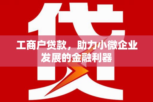 花莲工商户贷款，助力小微企业发展的金融利器