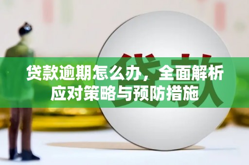 花莲贷款逾期怎么办，全面解析应对策略与预防措施