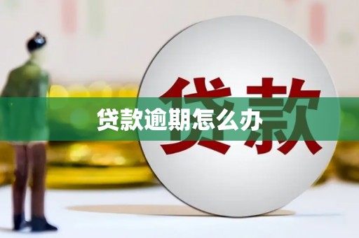 花莲贷款逾期怎么办