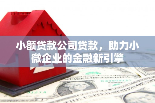 花莲小额贷款公司贷款，助力小微企业的金融新引擎