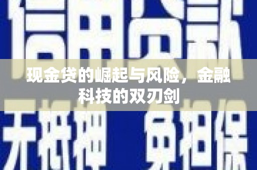 花莲现金贷的崛起与风险，金融科技的双刃剑