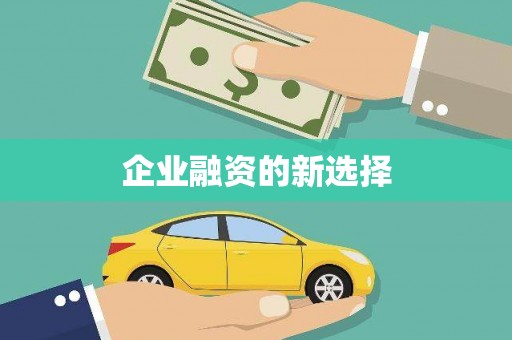 花莲企业融资的新选择
