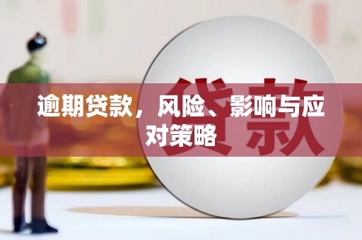 花莲逾期贷款，风险、影响与应对策略
