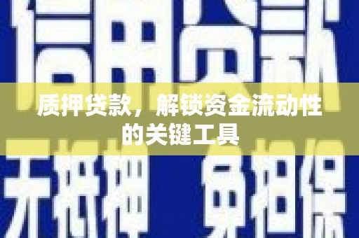 花莲质押贷款，解锁资金流动性的关键工具