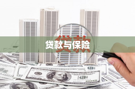 花莲贷款与保险