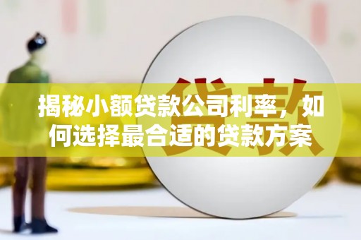 花莲揭秘小额贷款公司利率，如何选择最合适的贷款方案