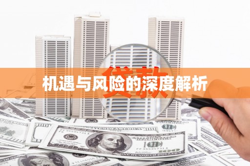 花莲机遇与风险的深度解析