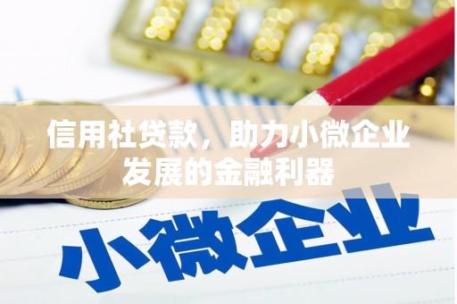 花莲信用社贷款，助力小微企业发展的金融利器