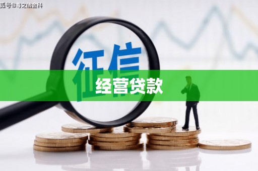 花莲经营贷款
