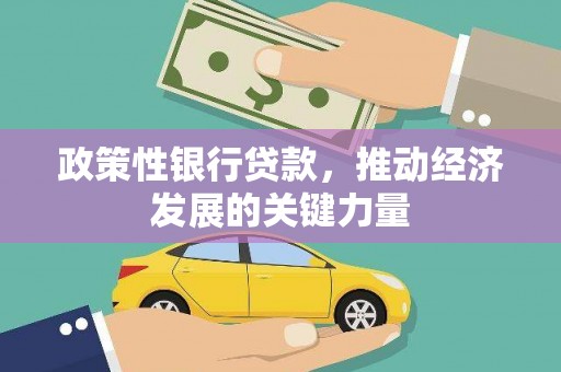 花莲政策性银行贷款，推动经济发展的关键力量