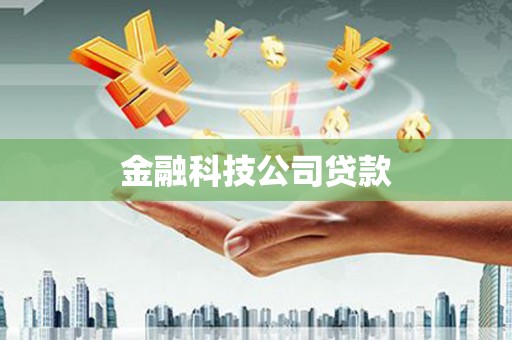 花莲金融科技公司贷款