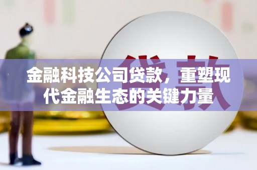 花莲金融科技公司贷款，重塑现代金融生态的关键力量