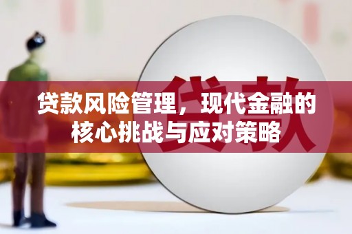 花莲贷款风险管理，现代金融的核心挑战与应对策略