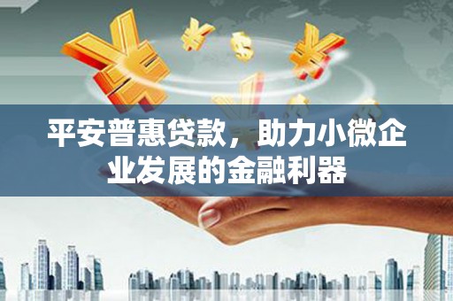 花莲平安普惠贷款，助力小微企业发展的金融利器