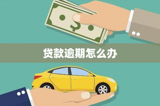 花莲贷款逾期怎么办
