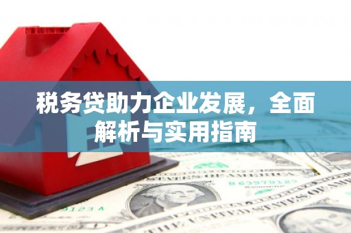 花莲税务贷助力企业发展，全面解析与实用指南