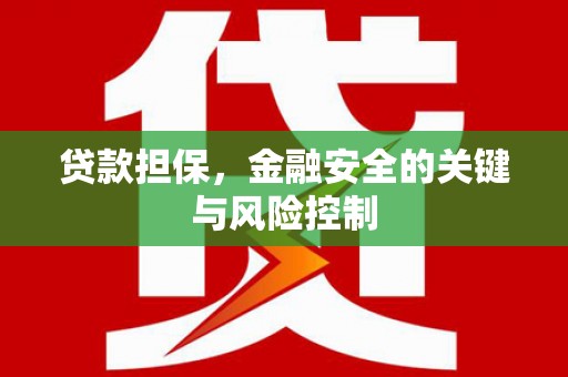 花莲贷款担保，金融安全的关键与风险控制