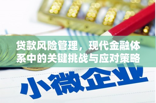 花莲贷款风险管理，现代金融体系中的关键挑战与应对策略