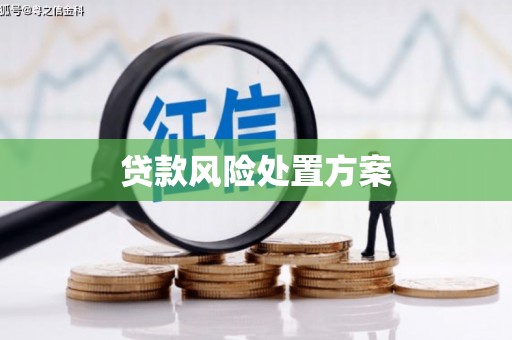 花莲贷款风险处置方案