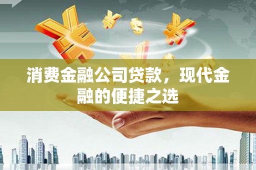 花莲消费金融公司贷款，现代金融的便捷之选