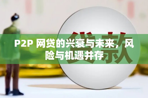 花莲P2P 网贷的兴衰与未来，风险与机遇并存
