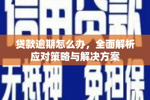 花莲贷款逾期怎么办，全面解析应对策略与解决方案