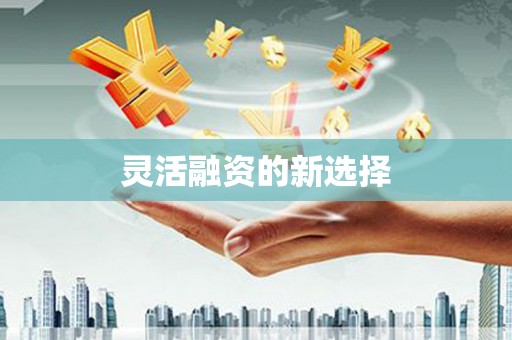 花莲灵活融资的新选择
