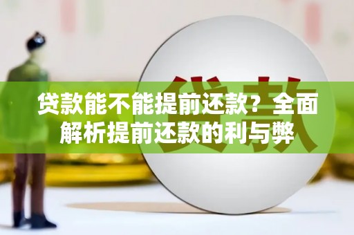 花莲贷款能不能提前还款？全面解析提前还款的利与弊