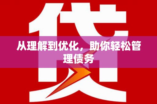 花莲从理解到优化，助你轻松管理债务